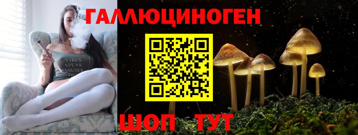 Ярославль  Галлюциногенные грибы Cubensis  Вход с VPN 